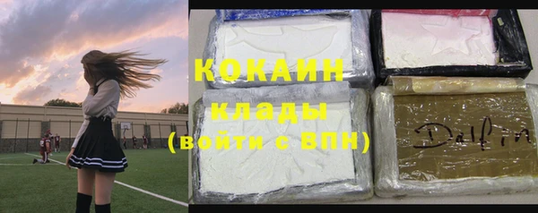 a pvp Новозыбков