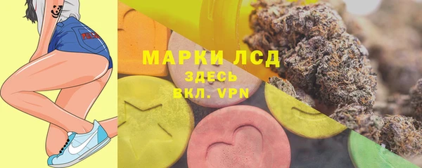 a pvp Новозыбков