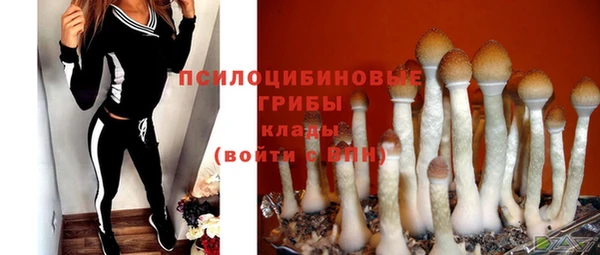 дурь Новодвинск