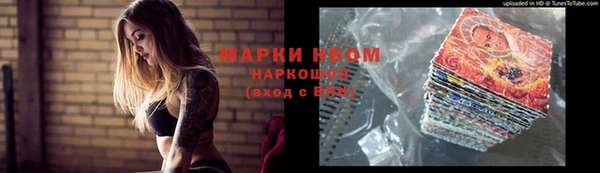 a pvp Новозыбков