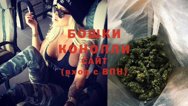дурь Новодвинск