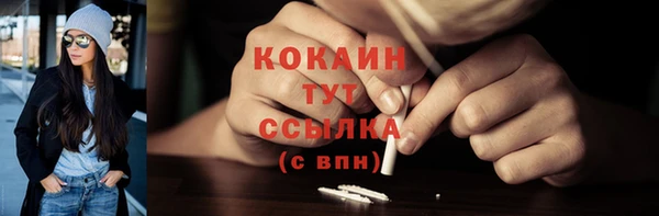 дурь Новодвинск