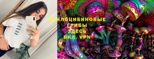 дурь Новодвинск