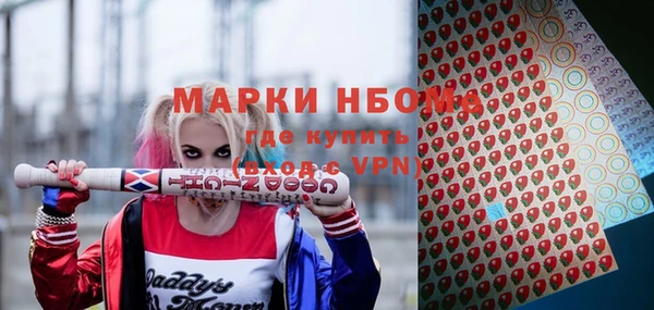 a pvp Новозыбков