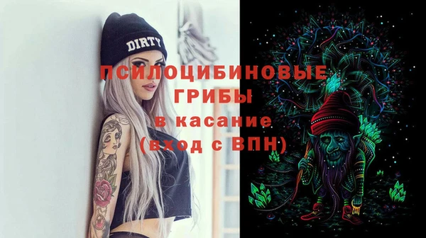 дурь Новодвинск