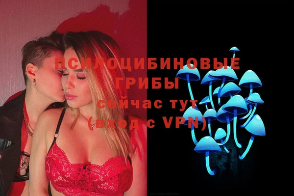 a pvp Новозыбков