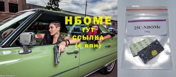 дурь Новодвинск