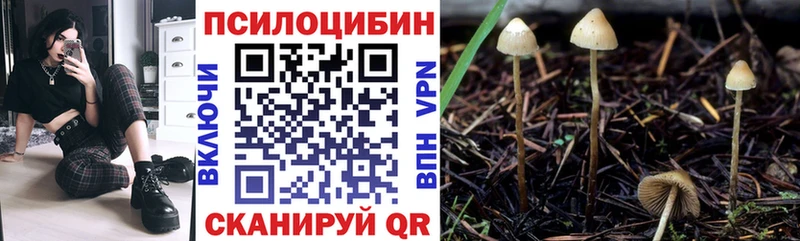 Псилоцибиновые грибы Magic Shrooms  Купить  Уяр 